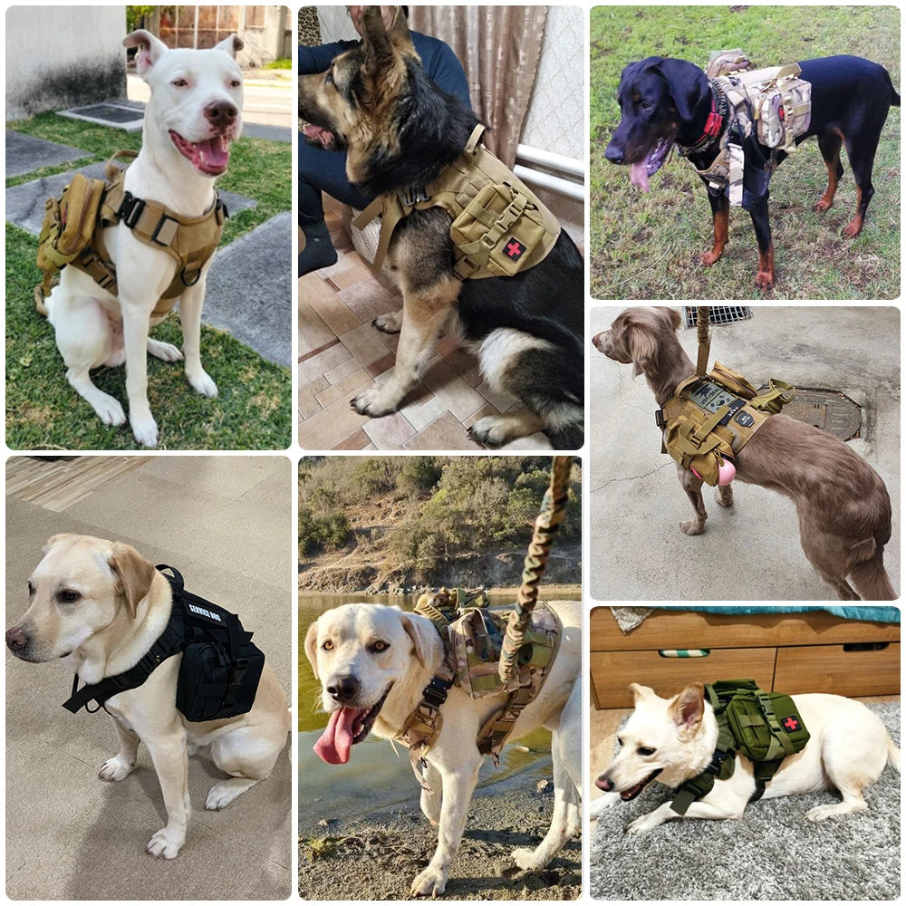 Large Dog Harness Collar Leash Set Military Dog Harnesses