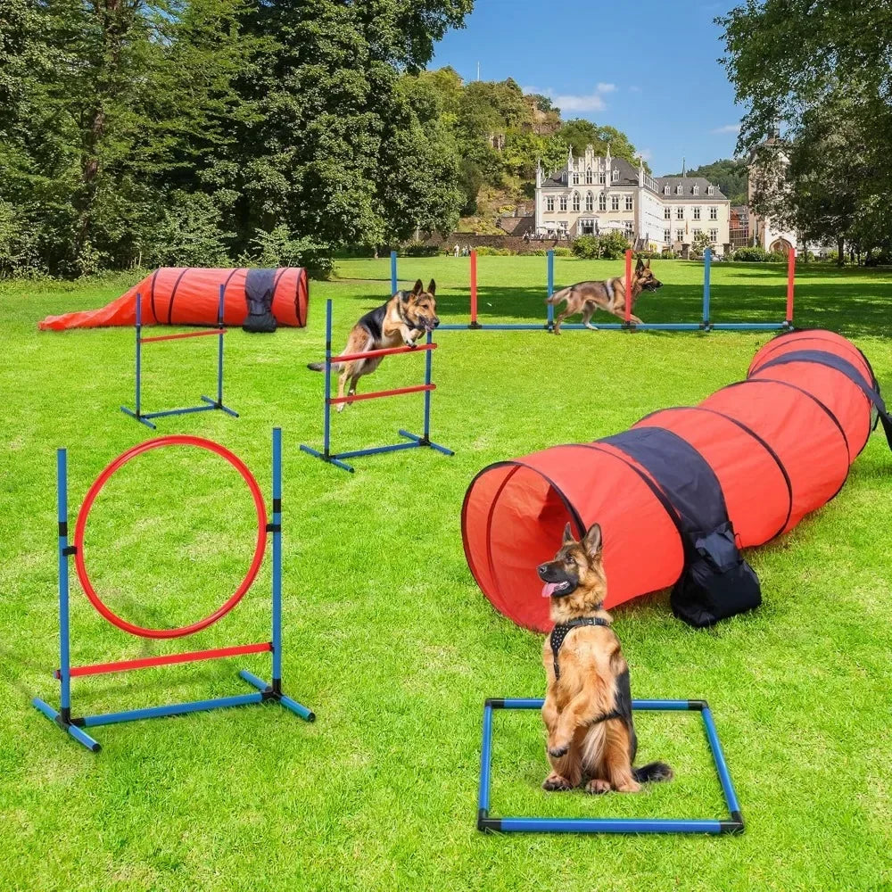 Dog Agility Training Equipments: Flirt Pole, Discs, Tunnels, Jumps