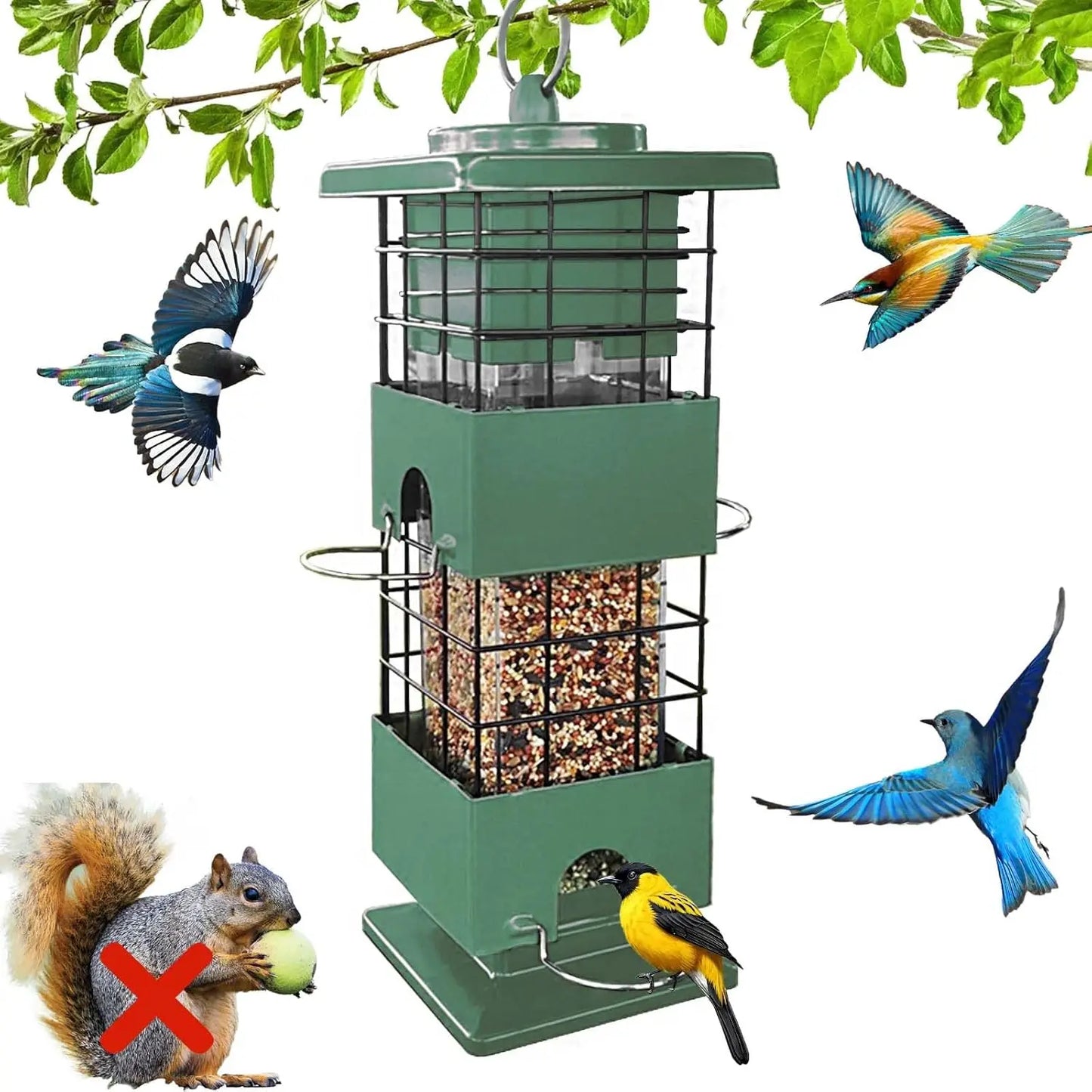 Bird Feeder for Outside, Squirrel Proof Design, Large Capacity