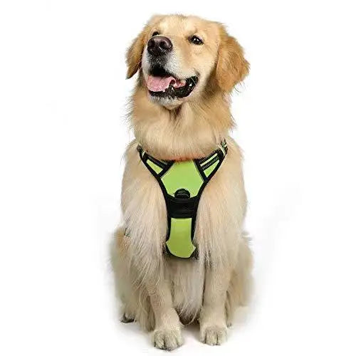Dog Reflective Strap For Small Large Medium-Sized Dogs