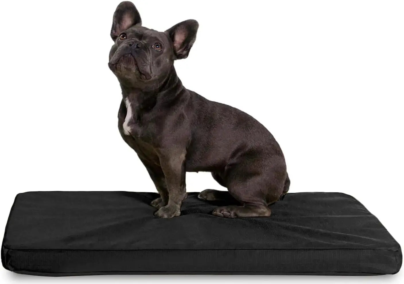 Tough Rip-Stop Orthopedic Dog Bed with Washable Cover