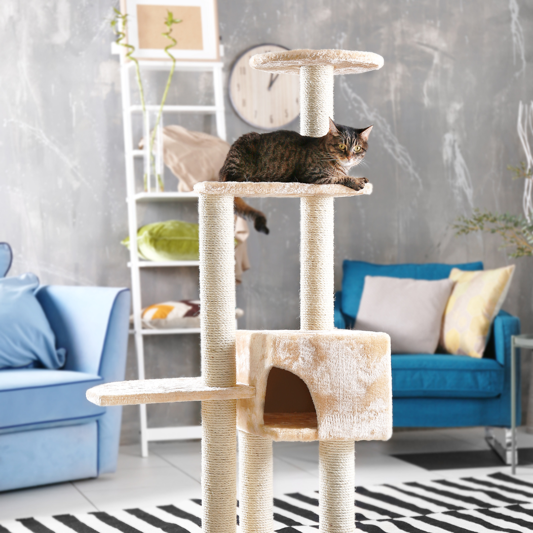 Cat Towers