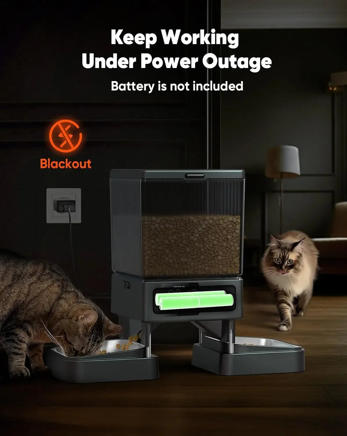 oneisall Automatic Cat Feeder for 2 Cats, Timed Food Dispenser