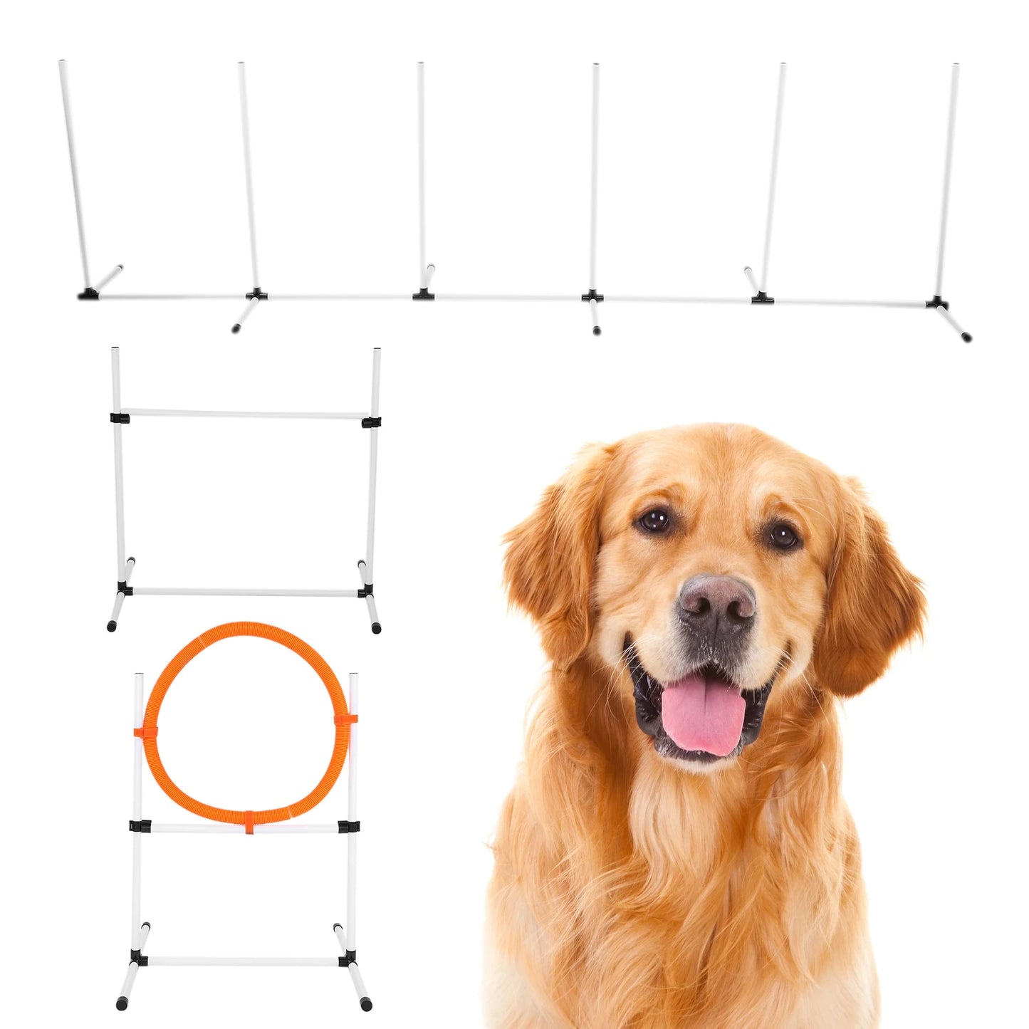 Dog Agility Equipment Portable Pet Training Tools For Dogs