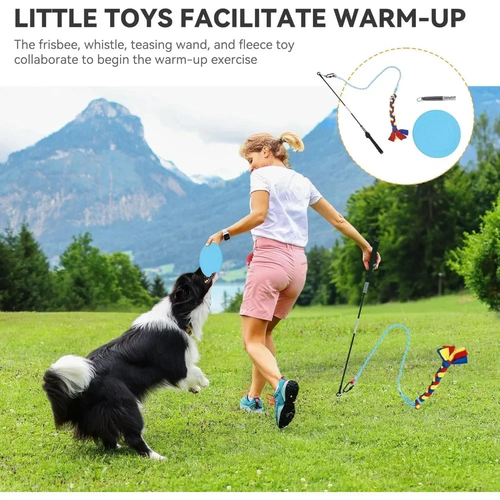 Dog Agility Training Equipments: Flirt Pole, Discs, Tunnels, Jumps
