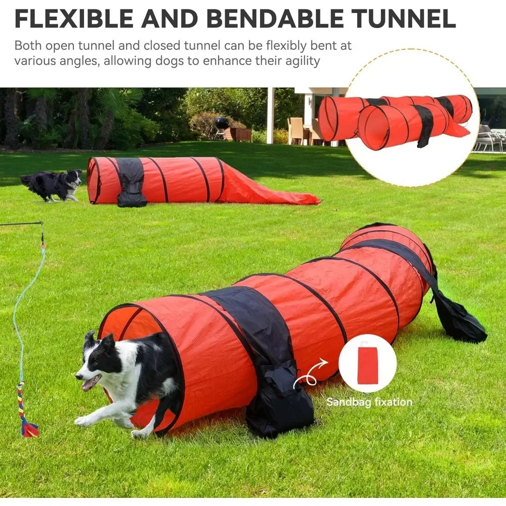 Dog Agility Training Equipments: Flirt Pole, Discs, Tunnels, Jumps