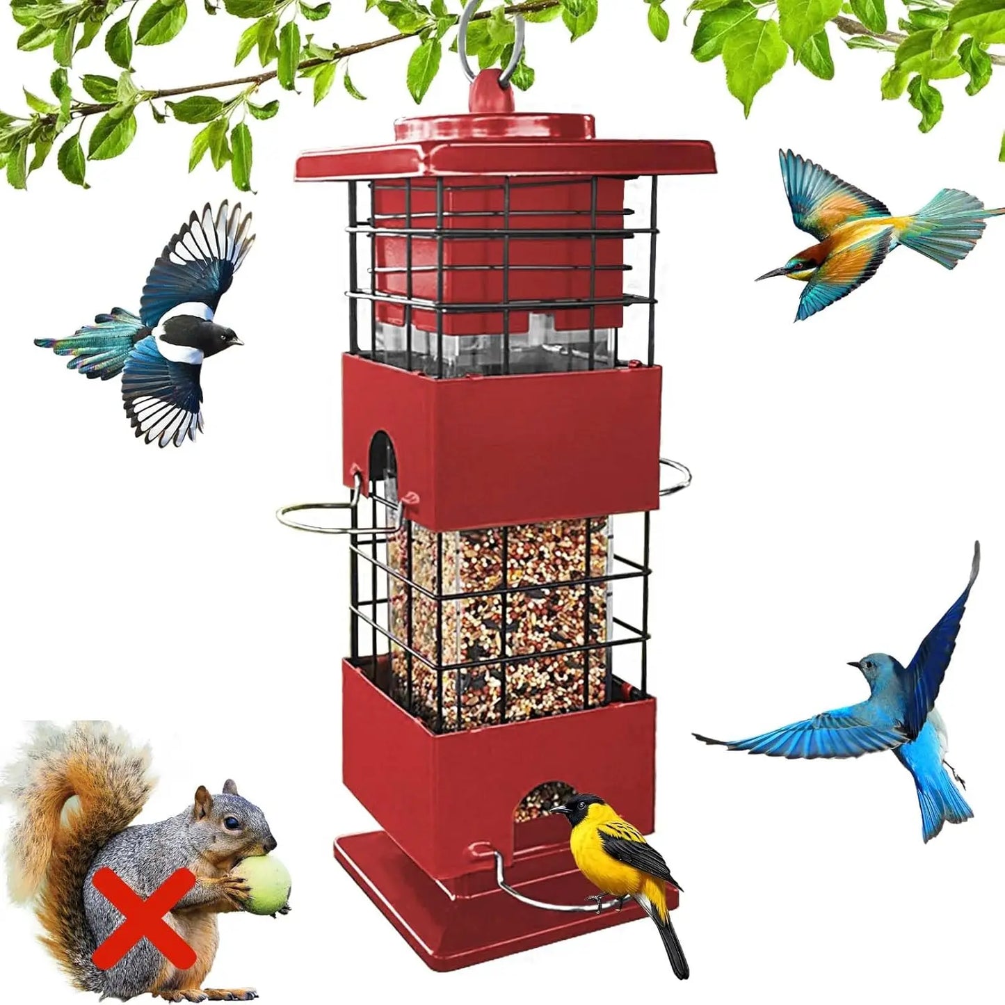 Bird Feeder for Outside, Squirrel Proof Design, Large Capacity