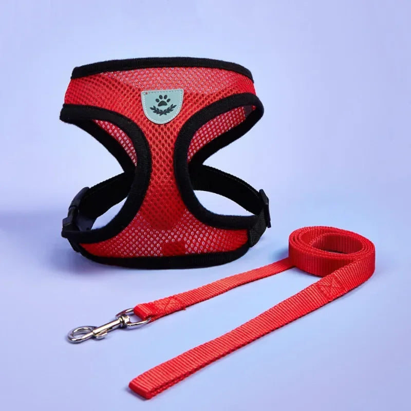 Cat Dog Adjustable Harness Vest Walking Lead Leash For Puppy