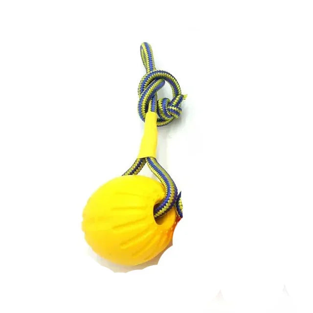 EVA Floating Dog Training Ball with Rope Chew Toys