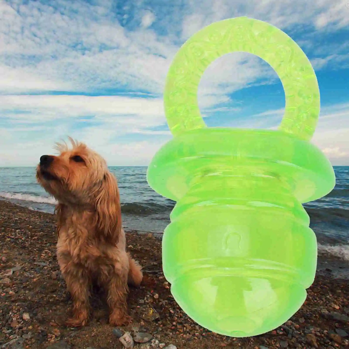 5 Pcs Set Pacifier Shaped Pet Dogs Teether Chew Toy Green