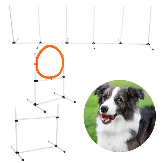 Dog Agility Equipment Portable Pet Training Tools For Dogs