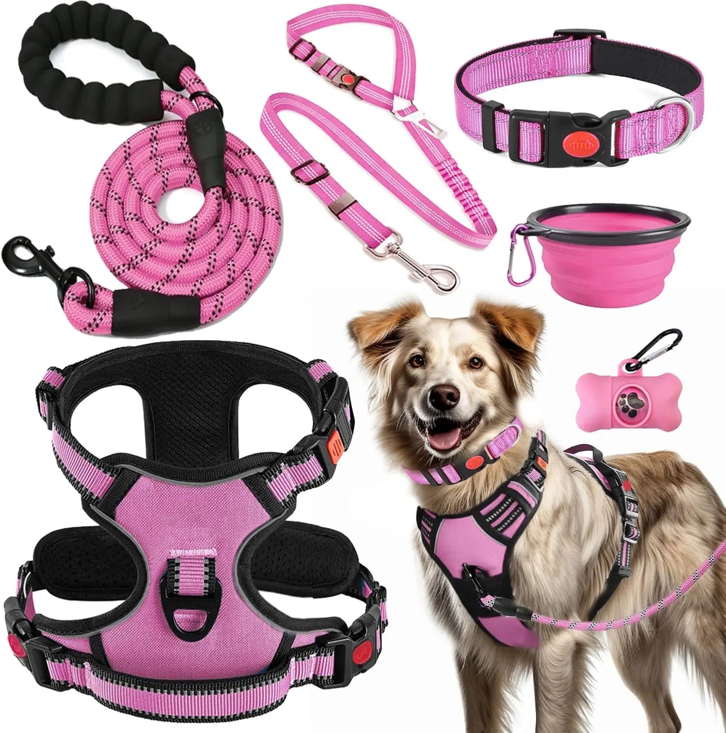 No Pull Dog Harness, Collar & Leash Set with Accessories