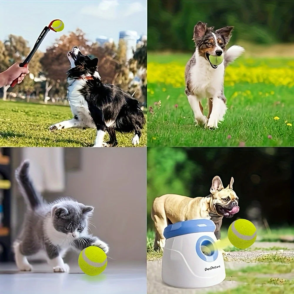 12 Packs of Small Dog Tennis Balls for Playing and Training