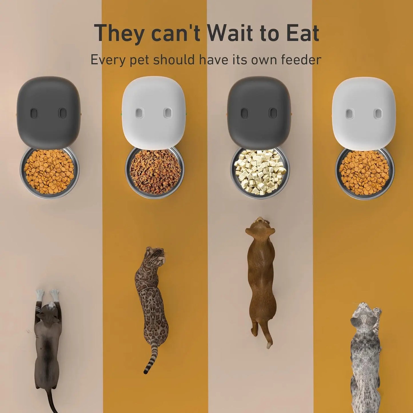 2025 Upgraded Automatic Cat Feeder - 4L Auto Pet Feeder