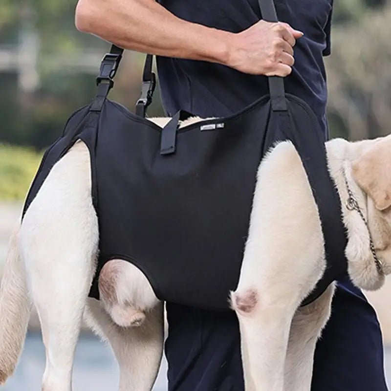 Pet Rehabilitation Sling Lift Vest Harness For Senior Dogs