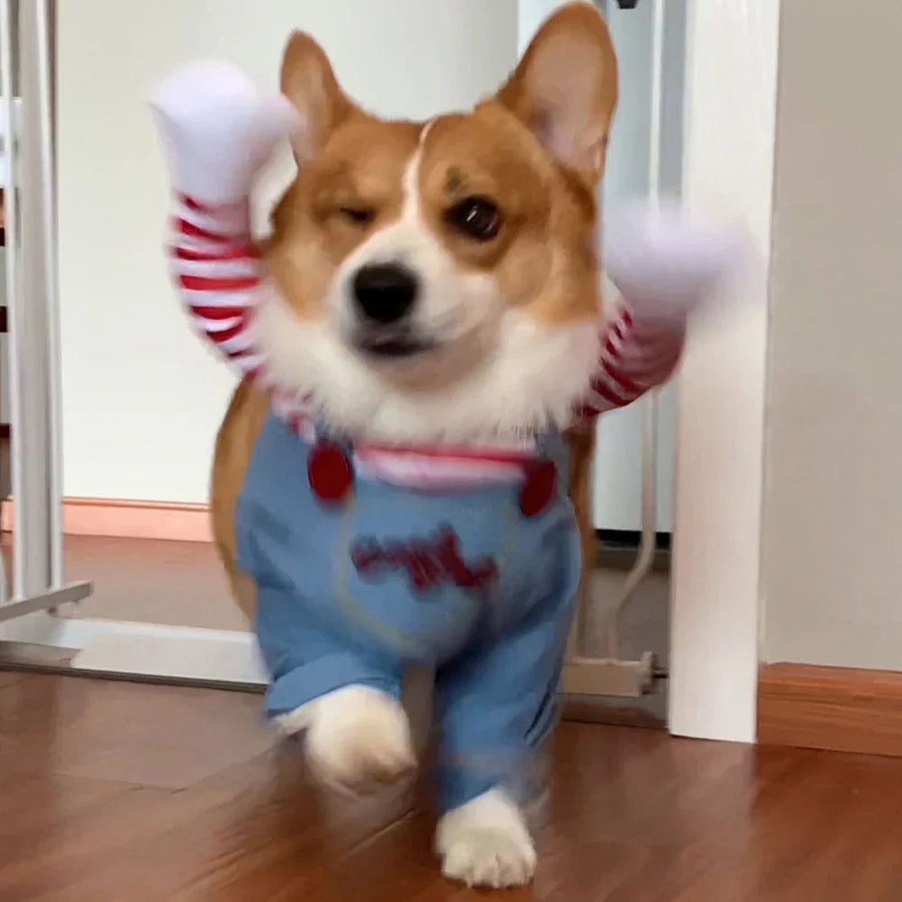Pet Dog Creative Clothes Quirky Dog Role Playing Costume Holding Knife