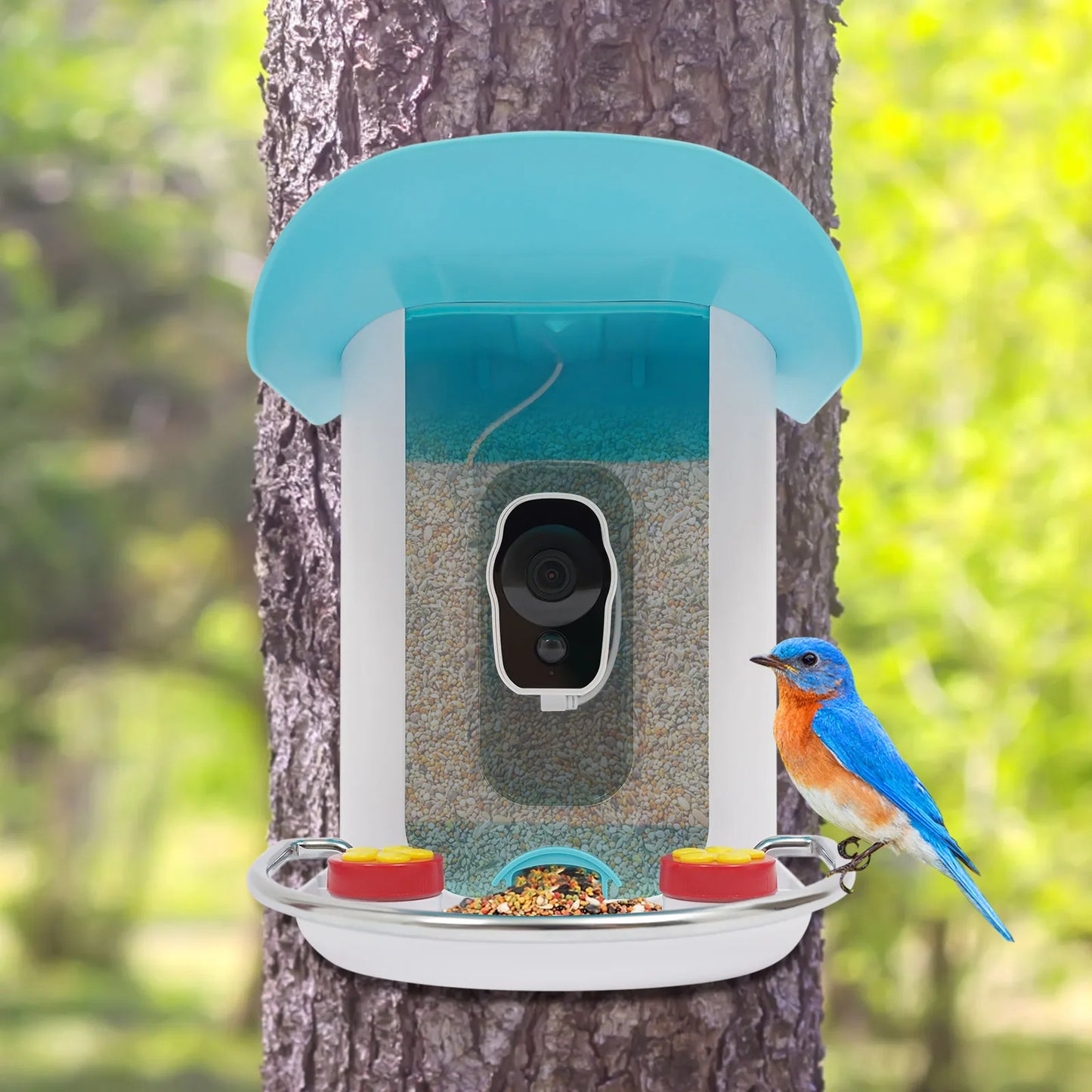 Outdoor Solar Smart Bird Feeder Camera 1080P Easy Installation