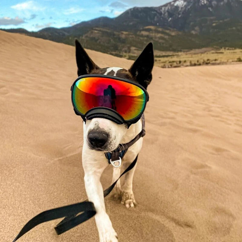 Dog Goggles Sunglasses Anti-UV Protection For Travel