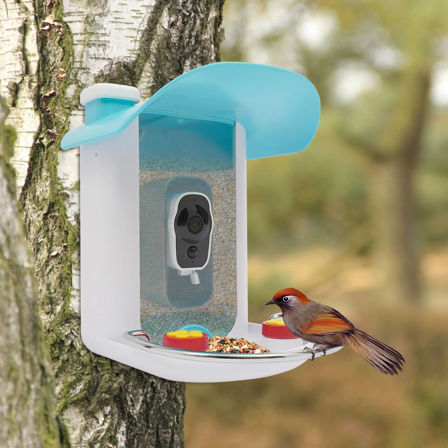 Outdoor Solar Smart Bird Feeder Camera 1080P Easy Installation
