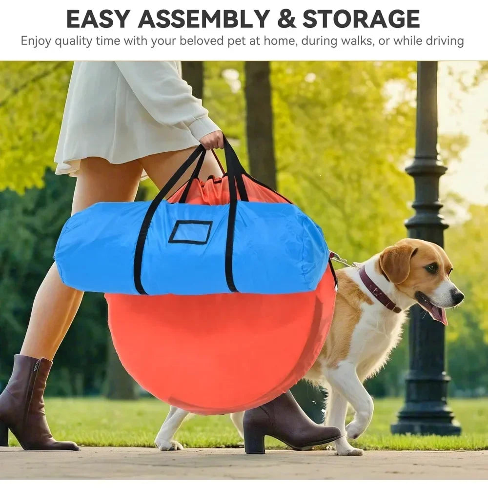 Dog Agility Training Equipments: Flirt Pole, Discs, Tunnels, Jumps