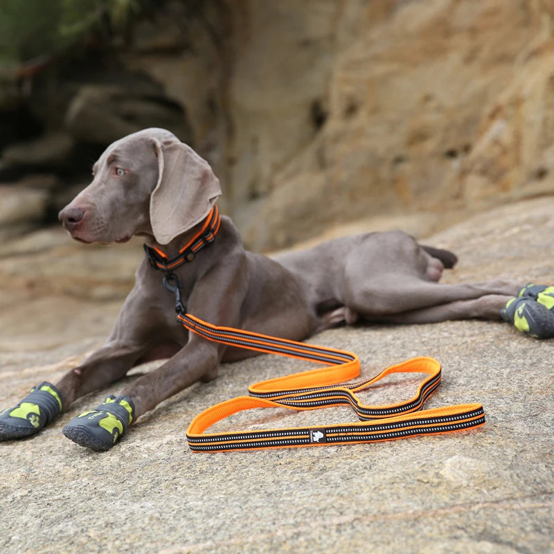 Winhyepet Dog Leash with Padded Handle Training Durable