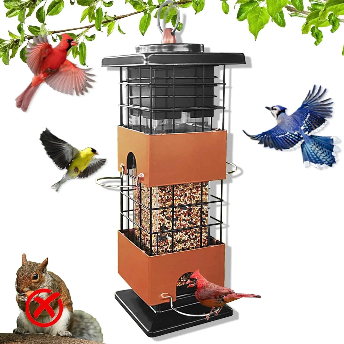 Bird Feeder for Outside, Squirrel Proof Design, Large Capacity