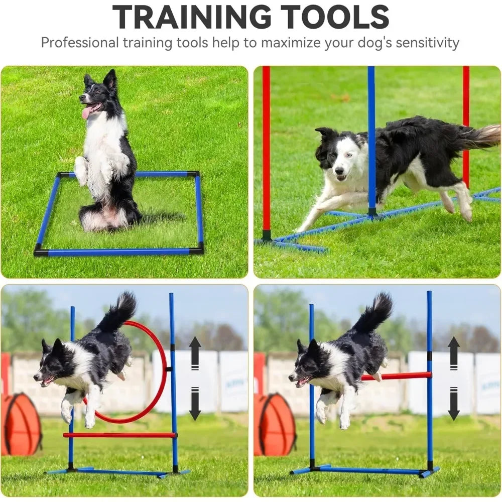 Dog Agility Training Equipments: Flirt Pole, Discs, Tunnels, Jumps
