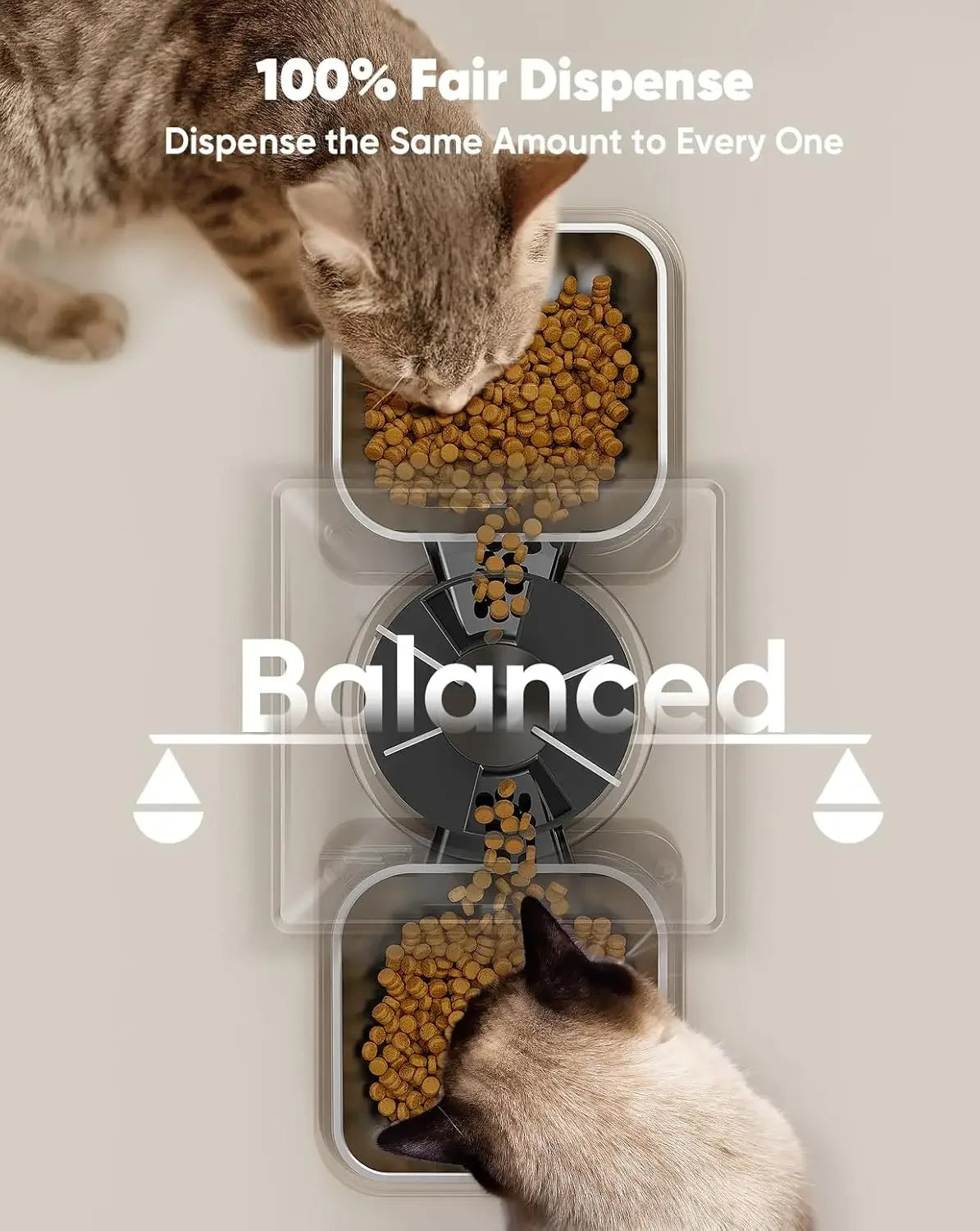 oneisall Automatic Cat Feeder for 2 Cats, Timed Food Dispenser