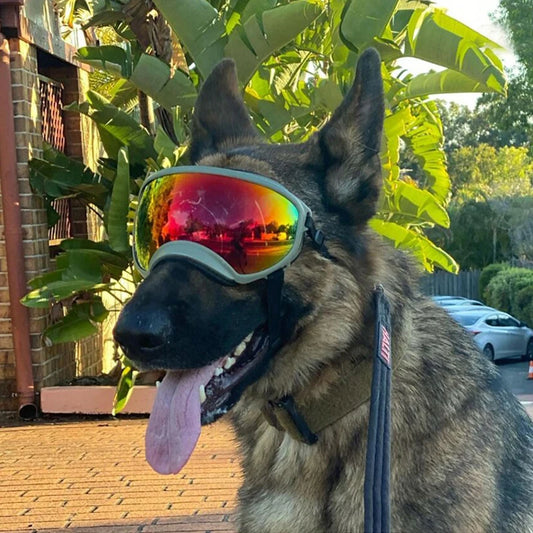 Dog Goggles Sunglasses Anti-UV Protection For Travel