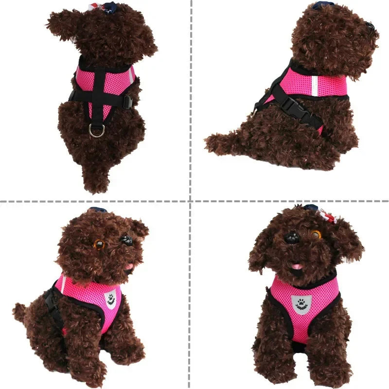 Cat Dog Adjustable Harness Vest Walking Lead Leash For Puppy