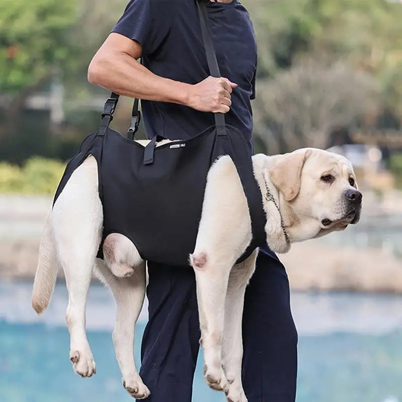Pet Rehabilitation Sling Lift Vest Harness For Senior Dogs