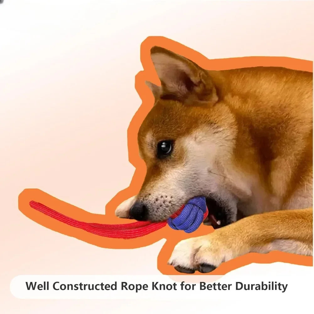 Rope Dog Toys for Small and Medium Dogs for Aggressive Chewers