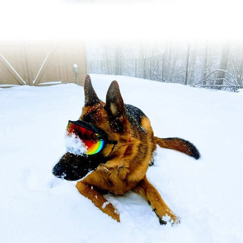 Dog Goggles Sunglasses Anti-UV Protection For Travel