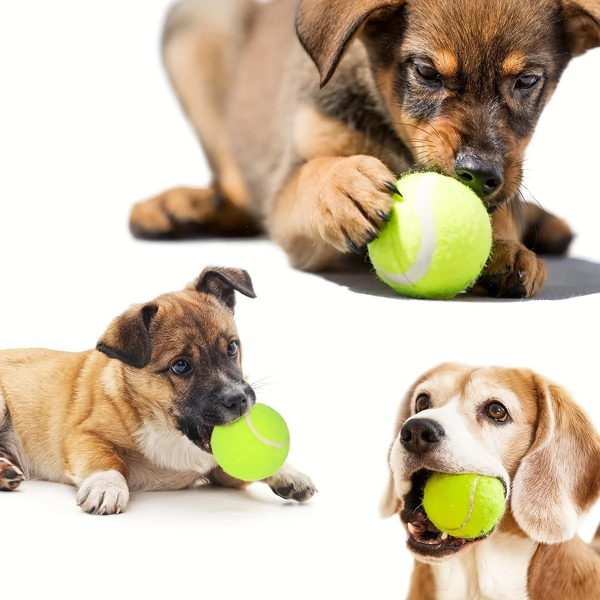 12 Packs of Small Dog Tennis Balls for Playing and Training