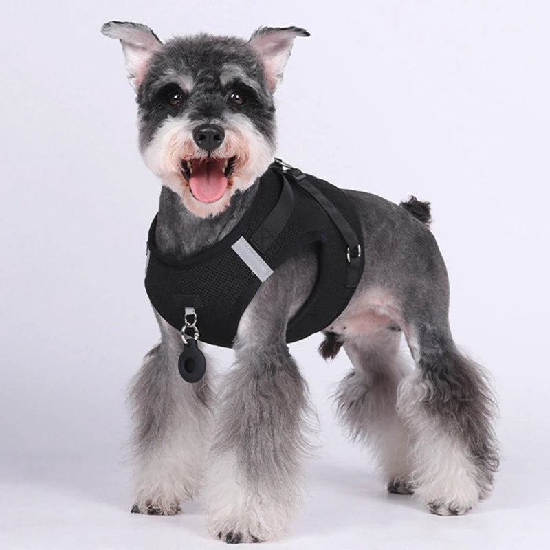 Pet Harness With Airtag Tracker And Leash Sets For Dogs