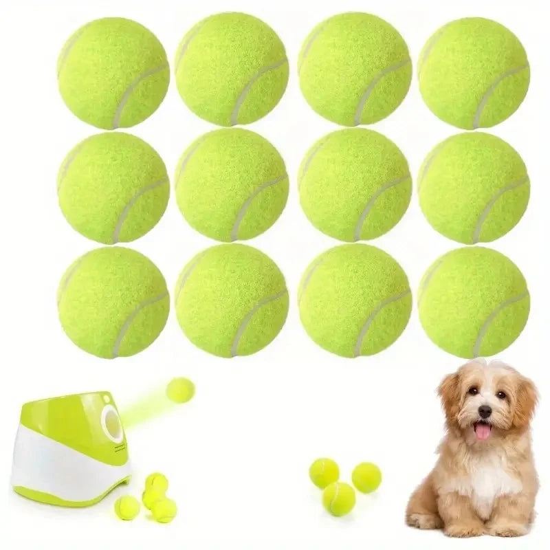 12 Packs of Small Dog Tennis Balls for Playing and Training
