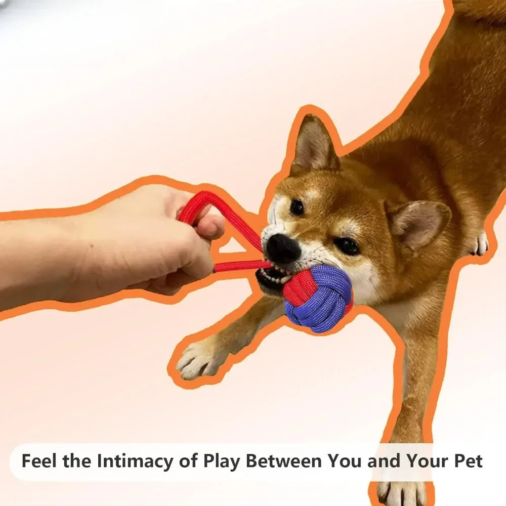 Rope Dog Toys for Small and Medium Dogs for Aggressive Chewers