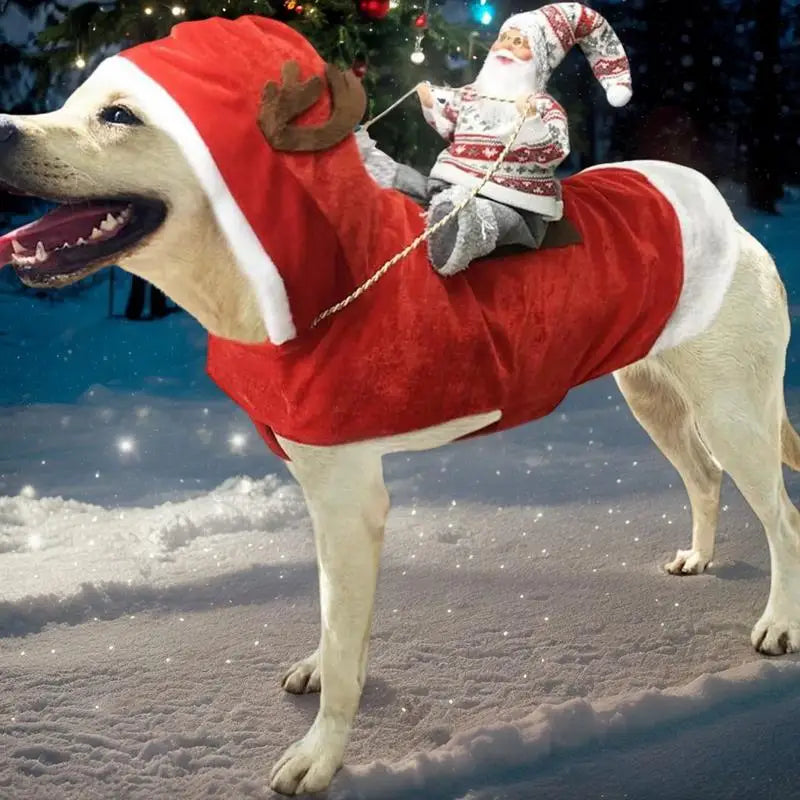Dog Suit With Hat Red Dog Costumes For Fancy Dress Festivals