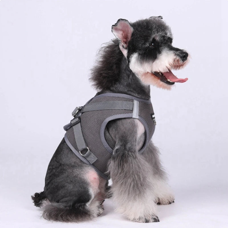 Pet Harness With Airtag Tracker And Leash Sets For Dogs