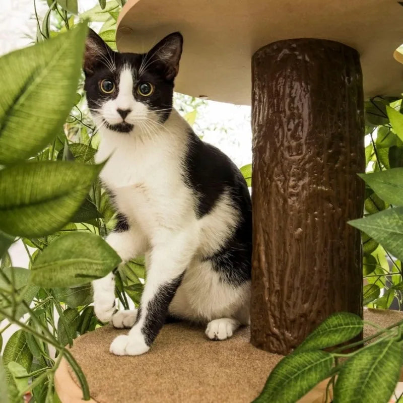 4ft Cat Tree with Leaves Made in USA for Indoor Cats