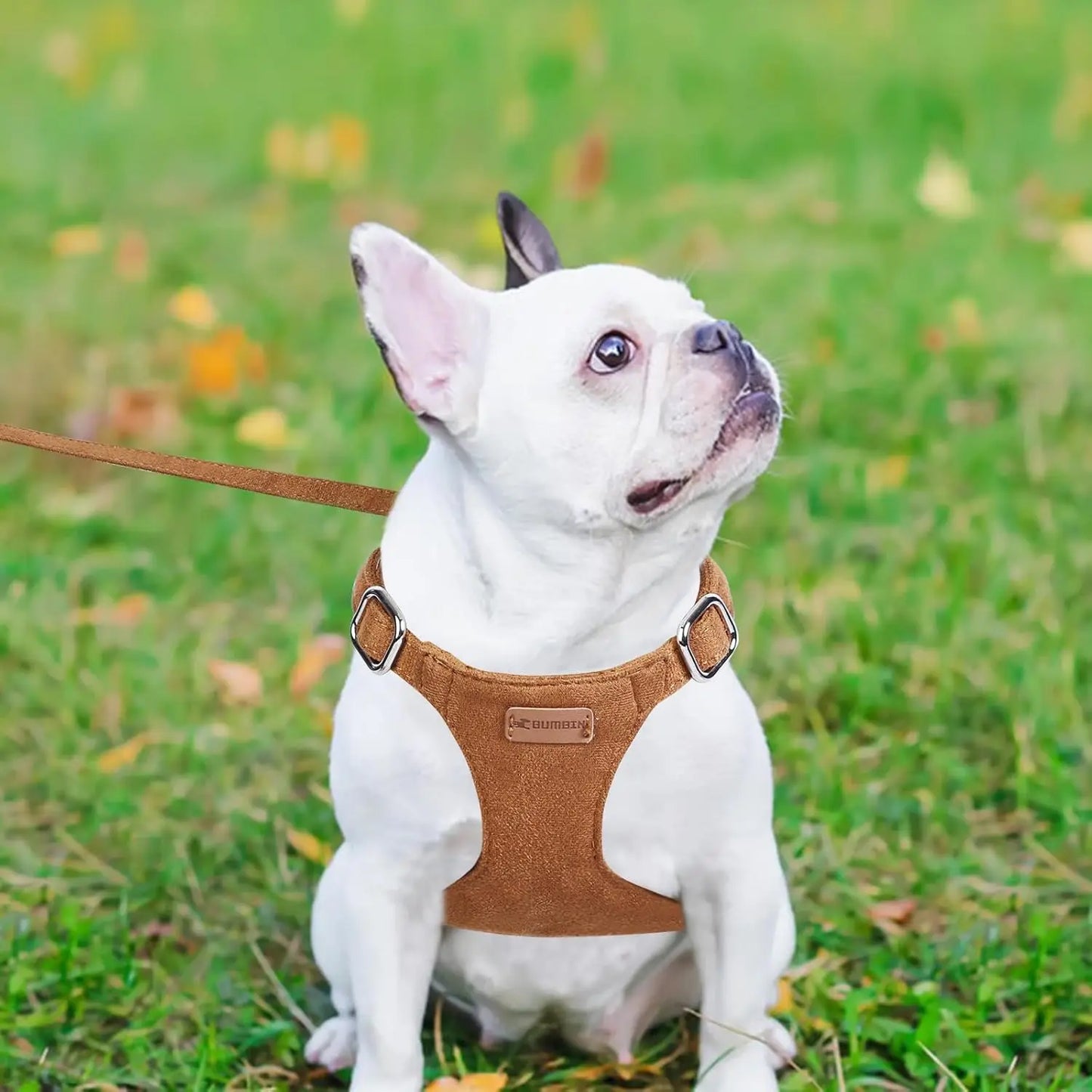 Dog Harness and Leash Set No Pull Adjustable Puppy Harness