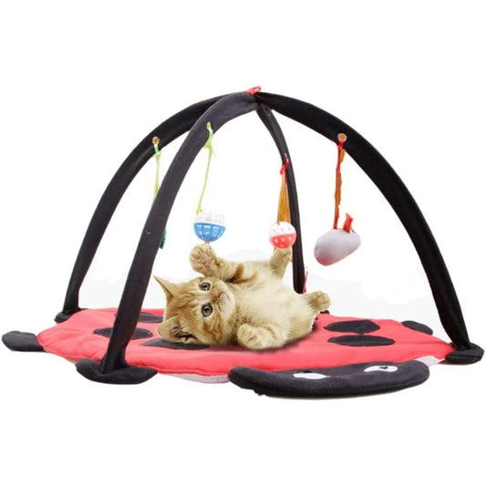 Cat Tent Activity Center with Hang Cat Toys Balls