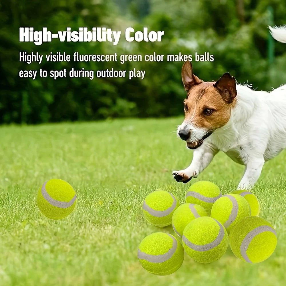 12 Packs of Small Dog Tennis Balls for Playing and Training