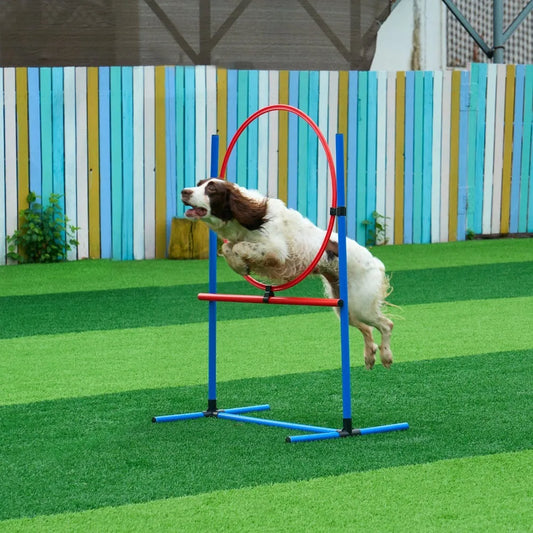 Dog Agility Training Equipment 5 PCS Set Upgrade w/ Hurdles
