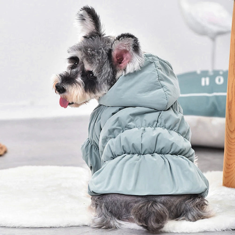 Winter Warm Pet Dog Coat Dogs Hoodies Cute Floral Dress
